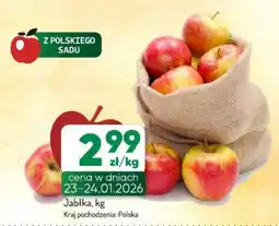 Avita Jabłka oferta