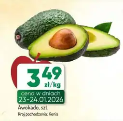 Avita Awokado oferta