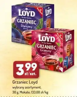 Avita Grzaniec Loyd oferta