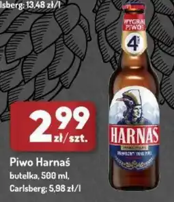 Avita Piwo Harnaś oferta