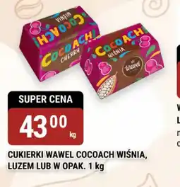 bi1 Wawel Cukierki Cocoach oferta