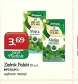 Malinka Market Herbapol Zielnik Polski oferta