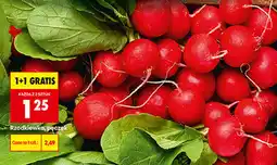 Biedronka Rzodkiewka, pęczek oferta