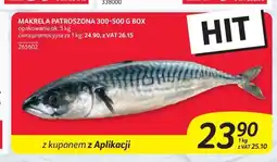 Selgros Makrela patroszona 300–500g box oferta