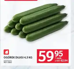Selgros Ogórek długi oferta