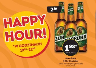 Delfin Piwo Żubr 500ml oferta
