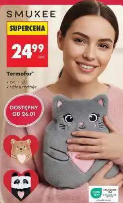 Biedronka Termofor oferta