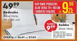 Biedronka Poduszka Aloe Vera, 70 x 80 cm oferta