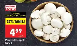 Biedronka Pieczarka opak 500 g oferta