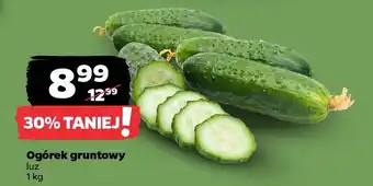 Netto Ogórek gruntowy oferta