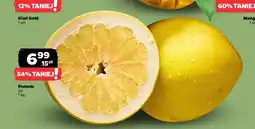 Netto Pomelo oferta