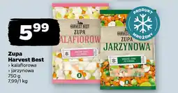 Netto Zupa Harvest Best oferta