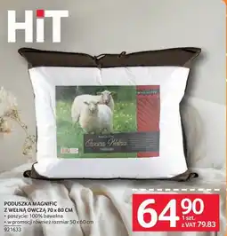 Selgros Poduszka Magnific z wełną owczą 70 x 80 cm oferta