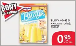 Selgros Budyń oferta