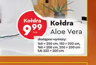 Biedronka Kołdra Aloe Vera oferta