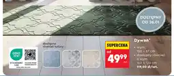 Biedronka Dywan oferta