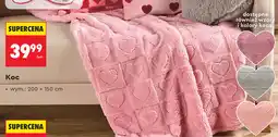Biedronka Koc 200 x 150 cm oferta