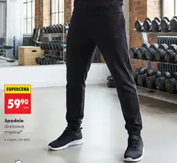 Biedronka Spodnie dresowe męskie (Umbro) oferta