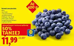 Lidl Borówki amerykańskie oferta
