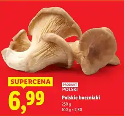 Lidl Boczniaki polskie oferta