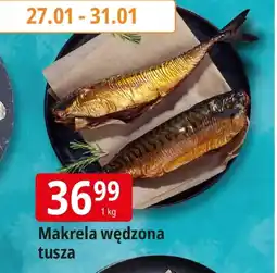 E.Leclerc Makrela wędzona oferta