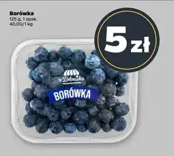Netto Pomidor czerwony oferta