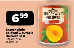 Netto Pomidor czerwony oferta