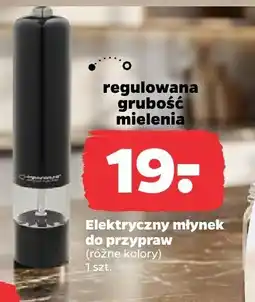 Netto Pomidor czerwony oferta