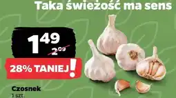 Netto Czosnek 1 szt oferta