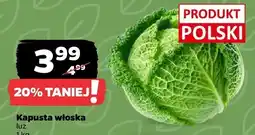 Netto Kapusta włoska luz oferta
