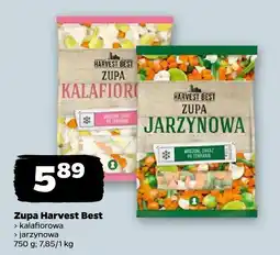Netto Zupa kalafiorowa oferta