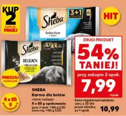 Kaufland Sheba Karma dla kotów oferta