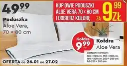 Biedronka Poduszka Aloe Vera oferta