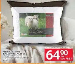 Selgros Poduszka Magnific z wełną owczą oferta