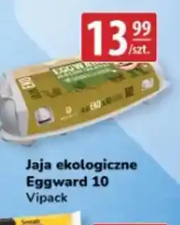 API MARKET Jaja ekologiczne Eggward 10 oferta