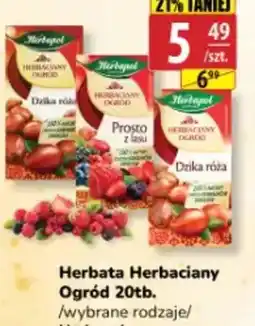 API MARKET Herbapol Herbata Herbaciany Ogród oferta