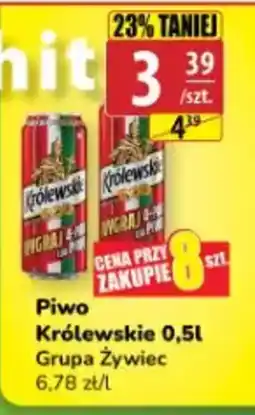 API MARKET Piwo Królewskie oferta
