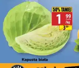 API MARKET Kapusta biała oferta