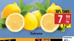 API MARKET Cytryna oferta