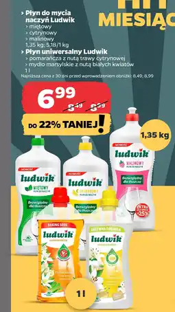 Netto Płyn do mycia naczyń Ludwik / Płyn uniwersalny Ludwik oferta
