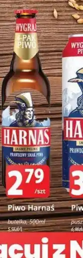Szyneczka Piwo Harnas oferta