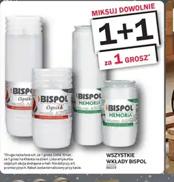 Selgros Bispol Wkłady oferta