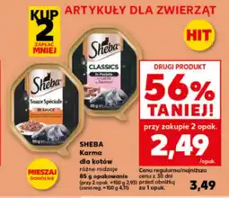 Kaufland Karma dla kota Sheba oferta