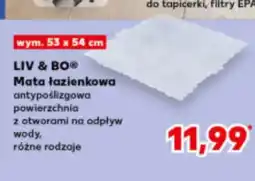 Kaufland Mata łazienkowa Liv & BO oferta