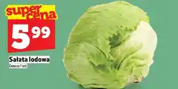 Topaz Sałata lodowa oferta
