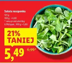 Lidl Sałata roszponka oferta