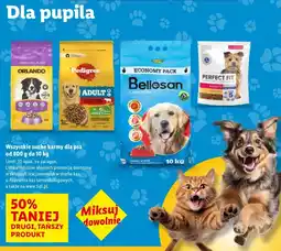Lidl Wszystkie suche karmy dla pasa od 800 g do 10 kg oferta