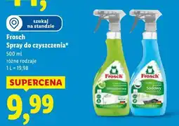Lidl Frosch Spray do czyszczenia oferta