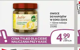 Selgros Owoce do napojów w soku oferta