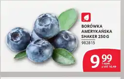 Selgros Borówka Amerykańska oferta